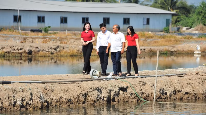 Agribank đã đăng ký triển khai chương trình tín dụng ưu đãi lĩnh vực nông, lâm, thủy sản quy mô 20.000 tỷ đồng.