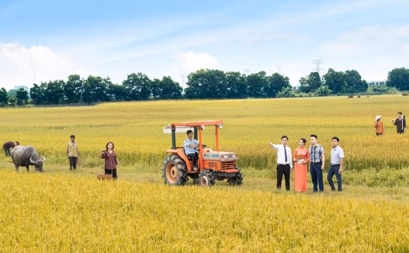 LPBank có mạng lưới trải dài khắp 63 tỉnh, thành phố với hơn 1.200 điểm giao dịch.