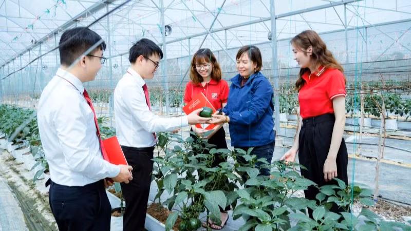 Gói vay ưu đãi về “Tín dụng xanh” khuyến khích khách hàng đầu tư vào phát triển nông nghiệp công nghệ cao.