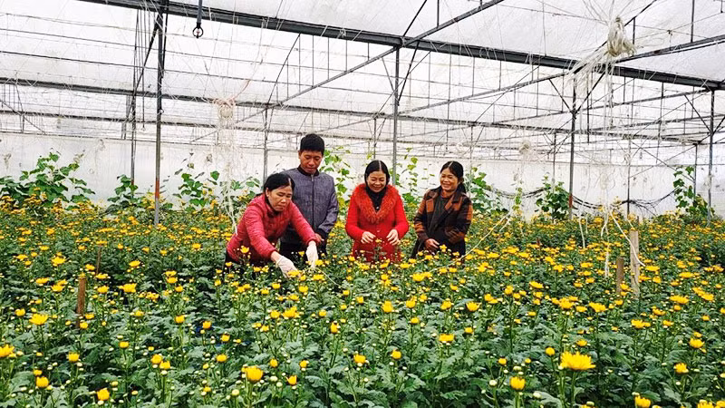 Lãnh đạo Đảng ủy xã Thạch Châu và chi bộ thôn Bằng Châu kiểm tra một mô hình sản xuất hữu cơ ở xã Thạch Châu, huyện Lộc Hà.