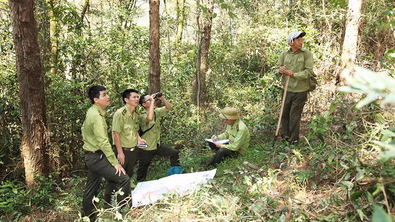 Cán bộ Vườn quốc gia Tam Đảo kiểm tra xác định ranh giới diện tích chồng lấn.