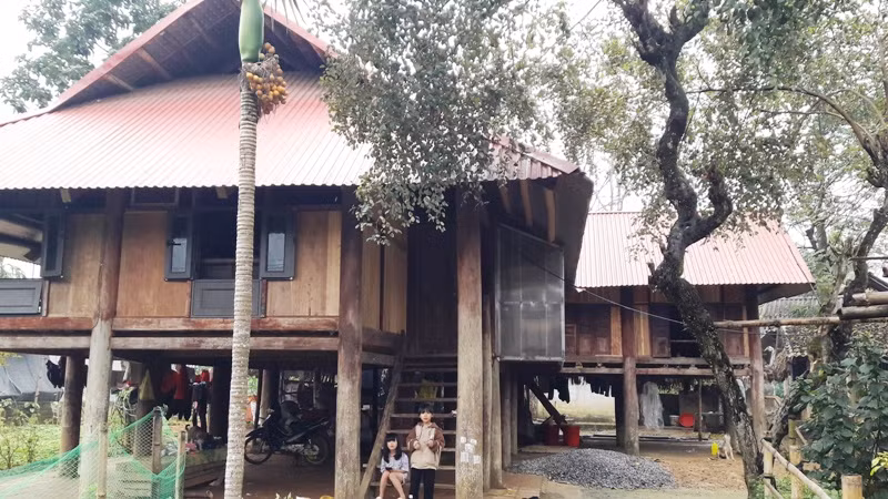 Nhà sàn của đồng bào Mường ở huyện Ngọc Lặc.