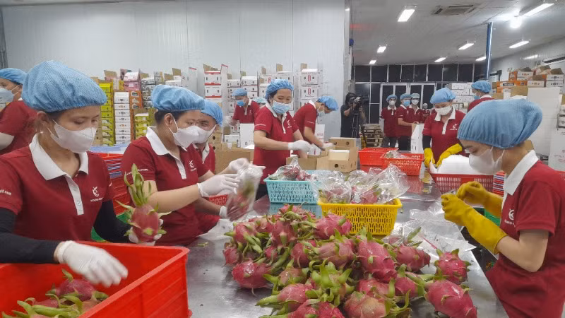 Nông sản Long An góp phần gia tăng kim ngạch xuất khẩu của tỉnh trong năm 2024.