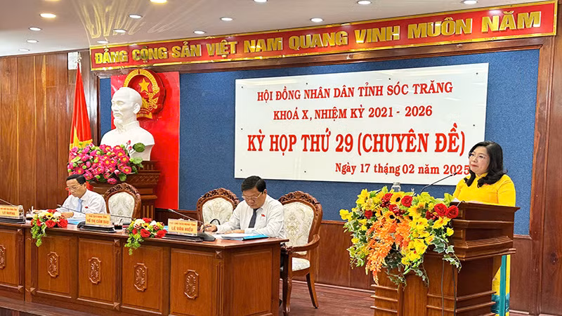 Đồng chí Hồ Thị Cẩm Đào phát biểu tại kỳ họp.