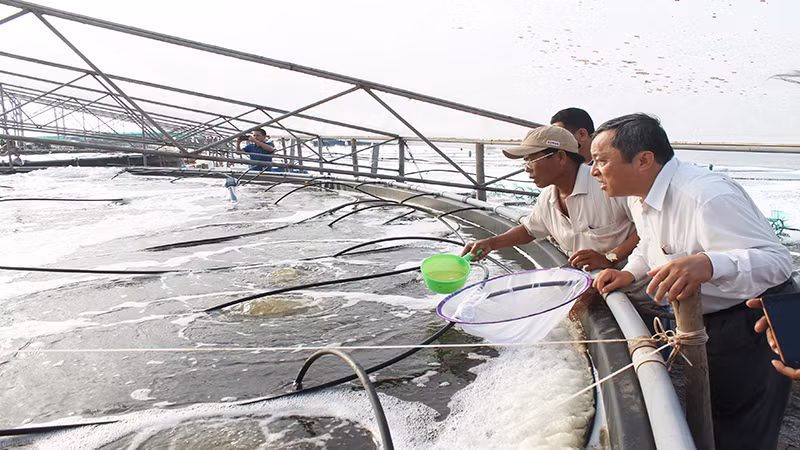 Sóc Trăng chú trọng phát triển khoa học-công nghệ khai thác hiệu quả tiềm năng. (Ảnh Trung tâm cung ứng tôm giống chất lượng cao của Sóc Trăng)