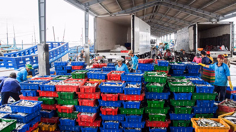 Cảng cá Trần Đề hiện nay.