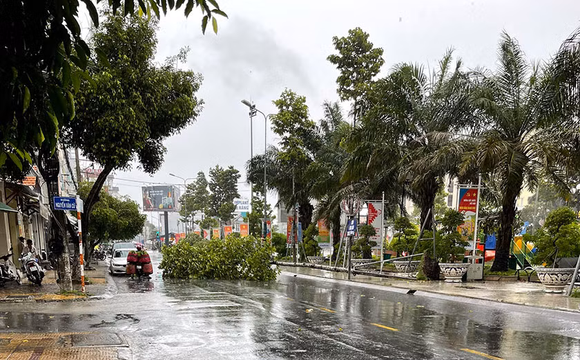 Mưa lớn gây đổ ngã cây xanh trên đường phố Sóc Trăng.