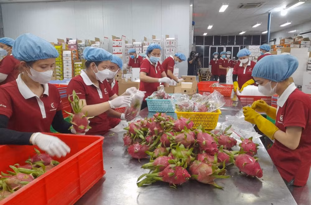 Ngành công thương Long An đang hướng người sản xuất và chế biến chuyển mạnh sang sản xuất xanh, bền vững để hội nhập và vươn ra biển lớn.