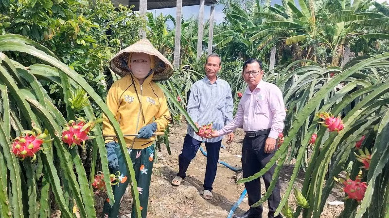 Cán bộ Ngân hàng Chính sách xã hội thăm gia đình ông Phan Văn Bảy, ấp Bình Xuyên, xã Bình Quới (huyện Châu Thành, Long An).