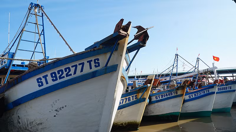 Sóc Trăng bảo đảm 100% tàu cá có đầy đủ giấy tờ, đặt thiết bị VMS theo quy định.