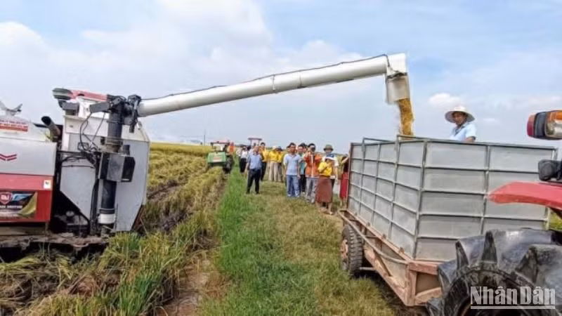 Ngành nông nghiệp ở Thái Bình sẽ được tái cơ cấu, hỗ trợ liên kết sản xuất, đưa cơ giới hóa nhiều hơn vào quá trình hoạt động.
