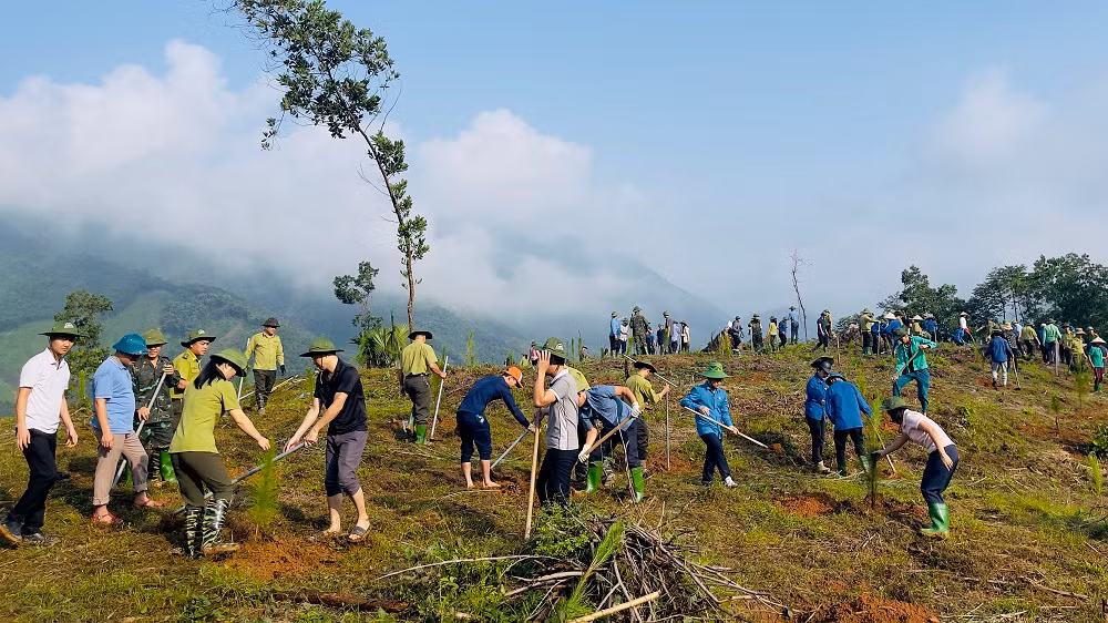 Nhân dân huyện Trấn Yên tham gia trồng cây sau bão số 3. (Ảnh: THANH SƠN)