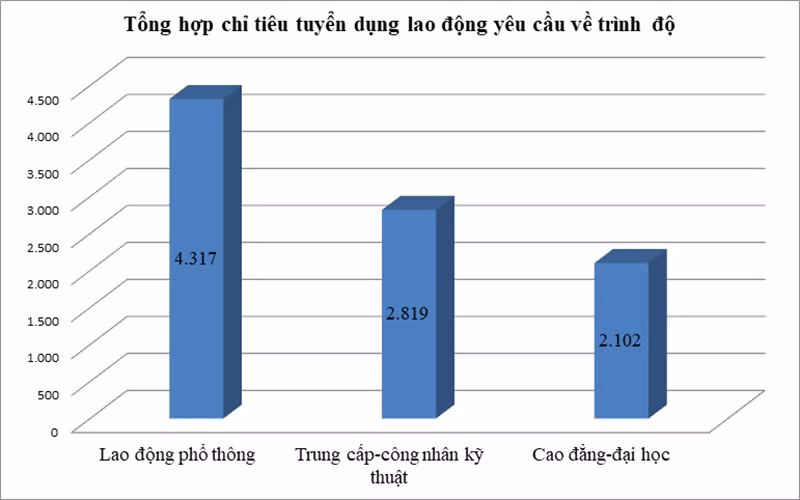 Yêu cầu tuyển dụng về trình độ tại phiên giao dịch việc làm.