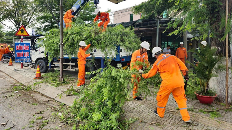 Điện lực Bến Tre phát quang cây xanh để ngăn ngừa sự cố lưới điện có mưa bão.