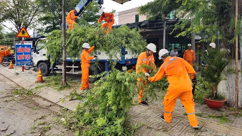 Điện lực Bến Tre phát quang cây xanh để ngăn ngừa sự cố lưới điện có mưa bão.