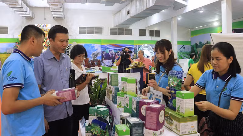 Sản phẩm của Công ty cổ phần nông nghiệp Việt Nam Gigahers được trao chứng nhận OCOP.
