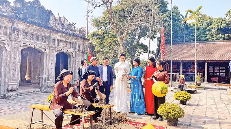 Làng nghề trồng và chế biến dược liệu truyền thống tại huyện Gia Viễn. (Ảnh YẾN TRINH)