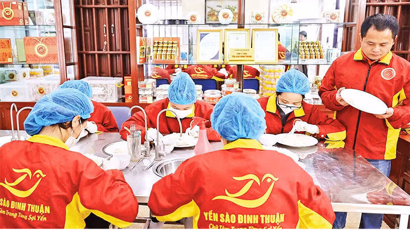 Cơ sở sản xuất yến sào của nông dân Đinh Văn Thuận ở huyện Hải Hậu, Nam Định.