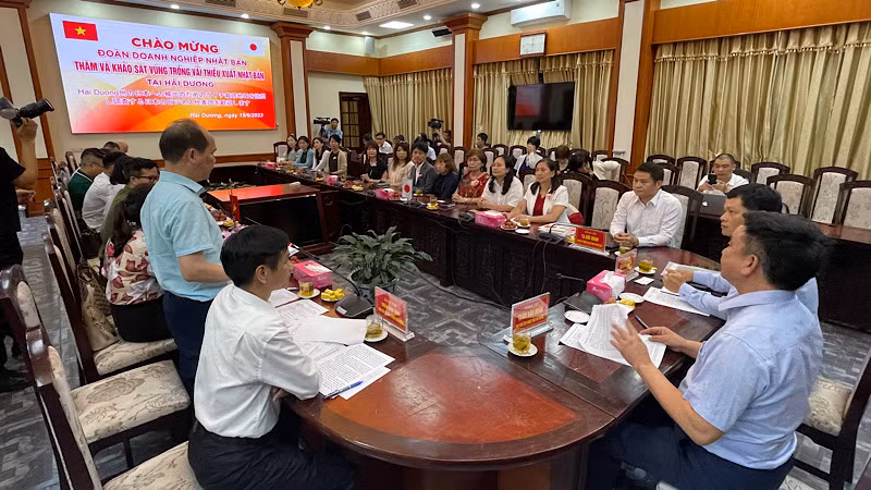 Lãnh đạo Ủy ban nhân dân tỉnh Hải Dương làm việc với Đoàn doanh nhân Nhật Bản.