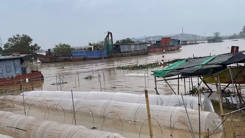 Nước sông ngoài dâng cao làm ngập nhiều diện tích rau màu của nhân dân.