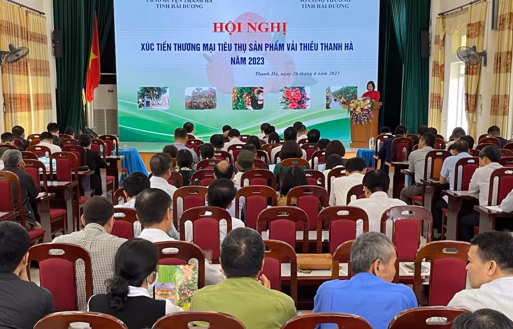 Hội nghị xúc tiến thương mại tiêu thụ sản phẩm vải thiều Thanh Hà.