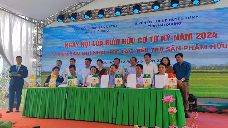 Đại diện các đơn vị ký hợp đồng liên kết sản xuất gắn bao tiêu sản phẩm.