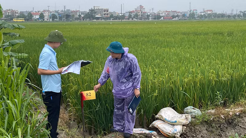 Cán bộ các tổ công tác thực hiện nhiệm vụ kiểm đếm trong buổi cưỡng chế thu hồi đất.