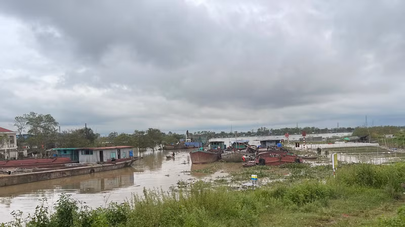 Nước sông Thái Bình đạt mức báo động 3 ngày 11/9 khiến hầu hết diện tích rau màu ở bãi sông cơ bản bị ngập úng.