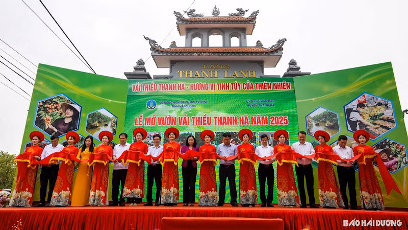 Cắt băng mở vườn tại sự kiện “Hải Dương mùa vải chín”.