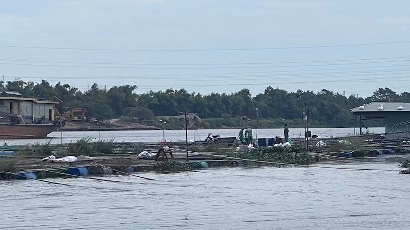 Nước sông Thái Bình ở Hải Dương đang ở mức báo động II.