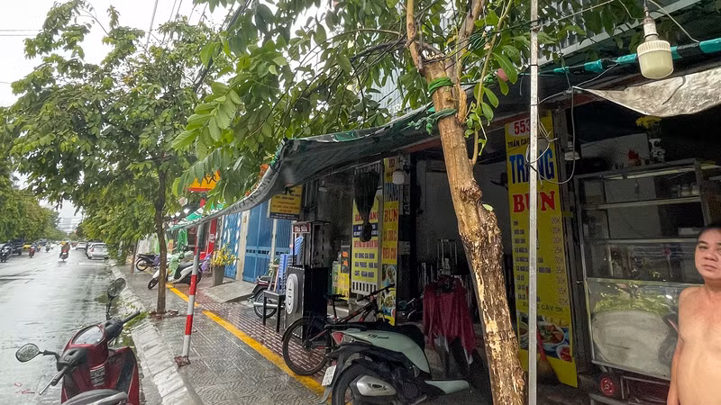 Sức gió áp thấp nhiệt đới quật đổ nhiều cây xanh tại Đà Nẵng ảnh 2