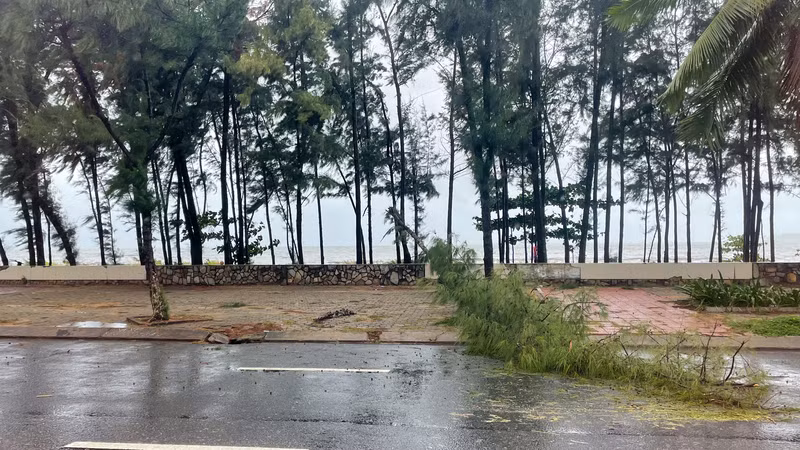 Sức gió áp thấp nhiệt đới quật đổ nhiều cây xanh tại Đà Nẵng ảnh 7