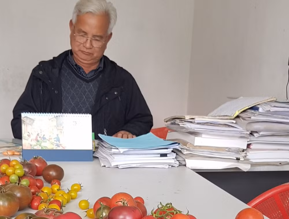 PGS, TS Nguyễn Hồng Minh tại Trung tâm Nghiên cứu và Phát triển giống rau chất lượng cao, Học viện Nông nghiệp Việt Nam. (Ảnh: MINH LÂM) 