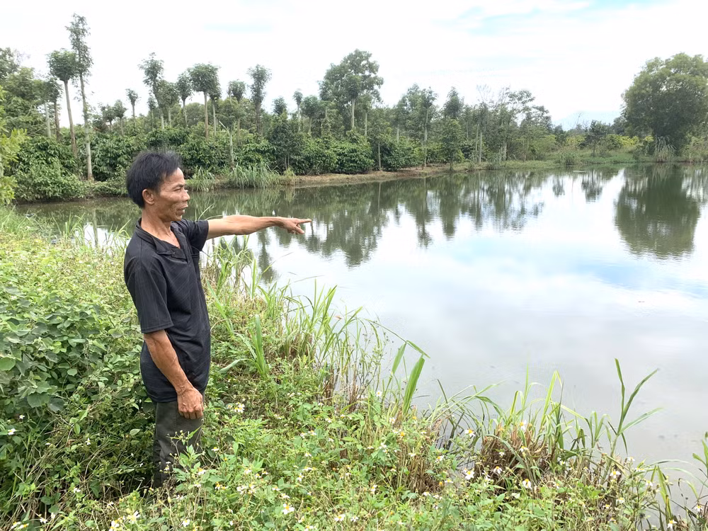 Hồ chứa nước thải của Trang trại chăn nuôi lợn nái sinh sản tại thôn Tân Lợi 1, xã Ea Uy, huyện Krông Pắc do ông Huỳnh Tấn Khánh làm chủ không đúng quy định.