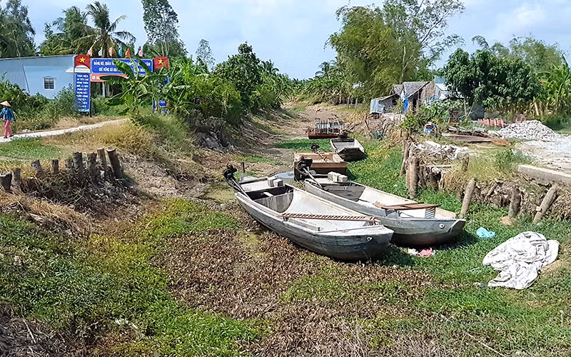 Kênh, rạch vùng ngọt huyện Trần Văn Thời (tỉnh Cà Mau) cạn khô vì nắng hạn.