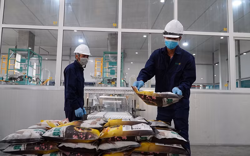 Đóng gói gạo xuất khẩu tại nhà máy Công ty TNHH Lúa gạo Việt Nam, xã Trường Xuân, huyện Tháp Mười, tỉnh Đồng Tháp. (Ảnh HỮU NGHĨA)