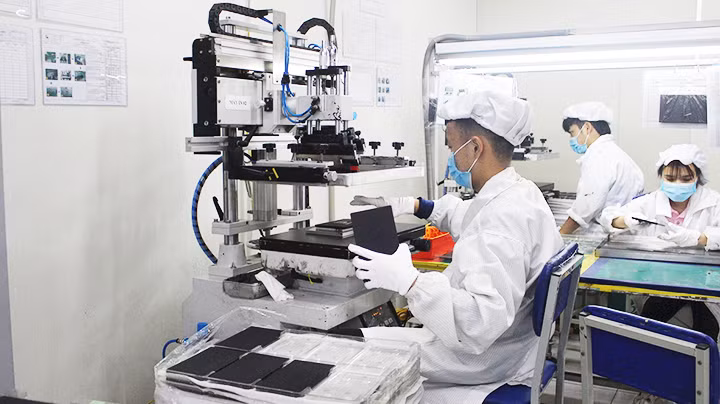 Các môn khoa học cơ bản cần được chú trọng, vì đó là nền tảng để đào tạo nhân lực phục vụ các ngành công nghệ cao.