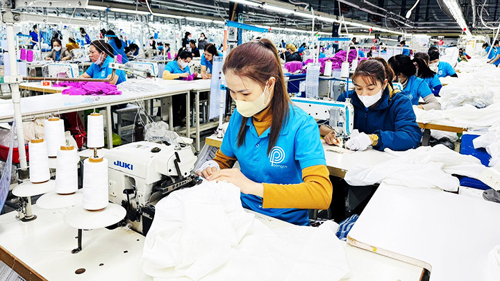 Các lĩnh vực may mặc, điện tử, chế biến thủy sản đang chờ người lao động.