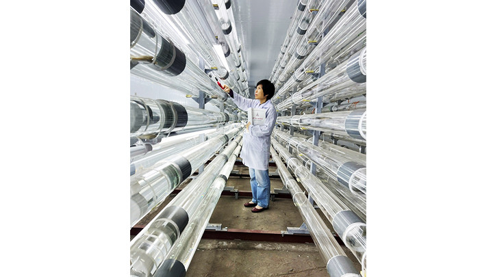 GS, TS Vũ Thị Thu Hà trong phòng thí nghiệm. Ảnh: KIM ĐẠI