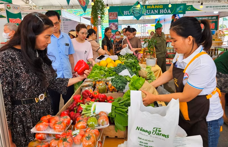 Khách hàng chọn mua nông sản an toàn.