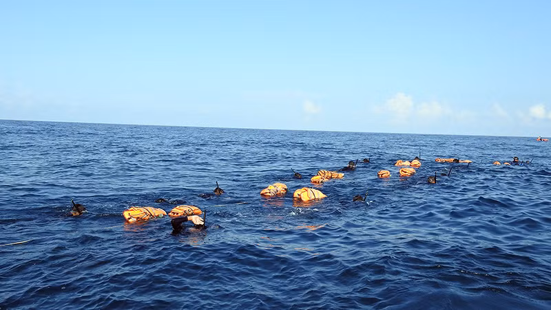 Lữ đoàn Đặc công Hải quân 126 (Bộ Tư lệnh Hải quân) huấn luyện bộ đội bơi đường dài. (Ảnh Đức Tuấn)