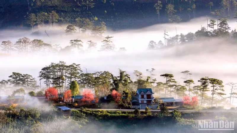 Chính quyền Đà Lạt, tỉnh Lâm Đồng những năm qua đã có nhiều cố gắng trong việc thực hiện các chương trình đầu tư tôn tạo, chỉnh trang đô thị và phục hồi “quỹ xanh” đô thị.