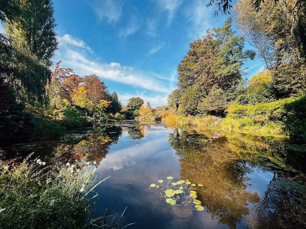 [Ảnh] Ghé Giverny thăm nhà vườn của danh họa người Pháp Claude Monet ảnh 14