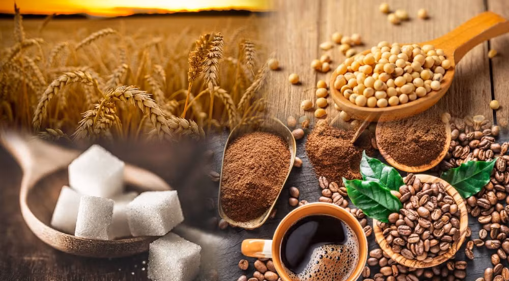 Giá nhiều mặt hàng nông sản đồng loạt giảm mạnh