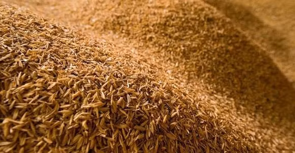 Vỏ trấu chứa hàm lượng silica (SiO2) trung bình khoảng 10,6%. Đây là thành phần quan trọng có thể sử dụng để chế tạo pin sạc li-ion.