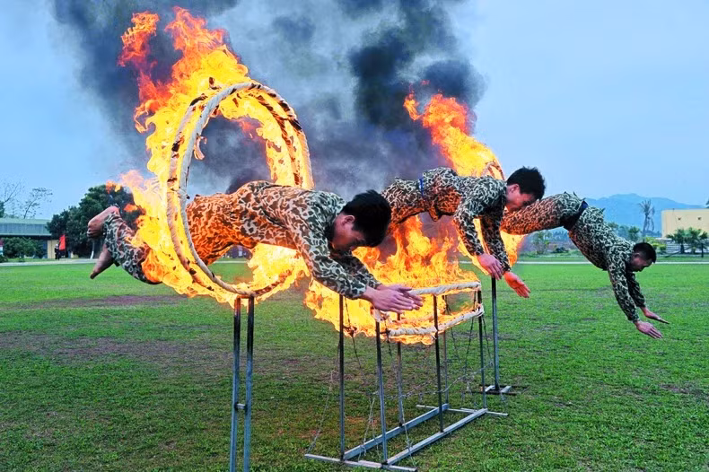 Luyện tập nhảy qua vòng lửa