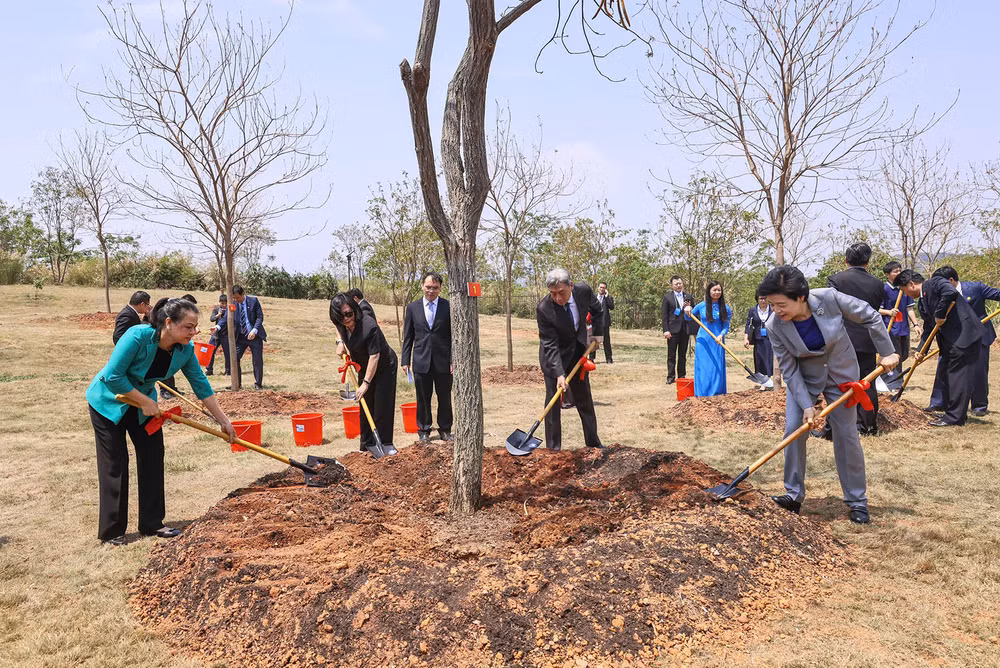 Các đại biểu cùng trồng “Rừng cây hữu nghị Mặt trận Tổ quốc Việt Nam và Chính hiệp Trung Quốc”. (Ảnh: Ủy ban Trung ương Mặt trận Tổ quốc Việt Nam cung cấp)