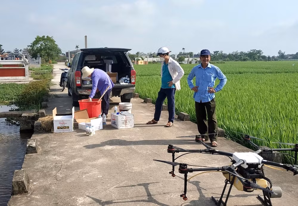 Phun thuốc trừ sâu bằng thiết bị bay điều khiển từ xa trên cánh đồng xã Trực Thanh, huyện Trực Ninh (Nam Định).