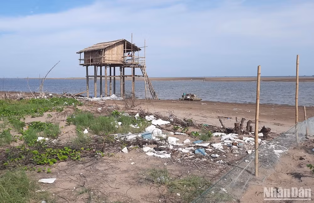 Ông Nguyễn Văn Phê bị xử phạt 325 triệu đồng vì tự ý huy động máy hút cát, dựng chòi, làm cọc chăng lưới trái phép trong Vườn quốc gia Xuân Thủy, huyện Giao Thủy (Nam Định).