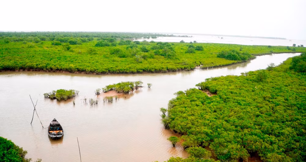 Vườn quốc gia Xuân Thủy (huyện Giao Thủy, Nam Định) sẽ được xây dựng hồ sơ đề cử thành Vườn Di sản ASEAN.